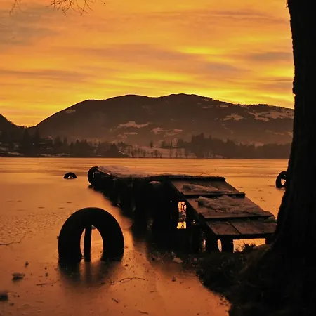 Viavai Spinone Al Lago